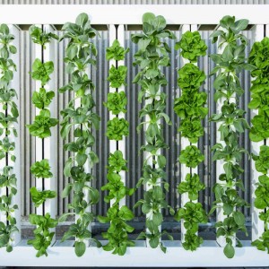 8-tower-green-wall-with-towers-for-vertical-farming-hydroponics