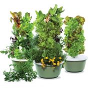 Harness the power of hydroponics to grow your own fresh fruits, vegetables, and herbs!