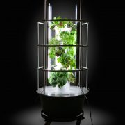 Grow fresh produce without the need for sun!